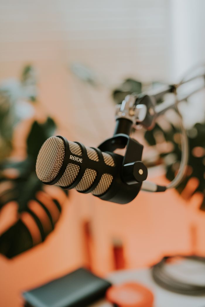 who-we-are Close-up of a Rode microphone on a stand, set against a backdrop of green indoor plants, ideal for tech and audio themes.